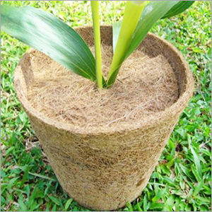 Coir Fiber Product