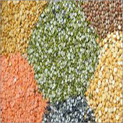 Sprouted Pulses