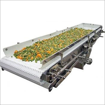 Vegetable Wash Conveyors