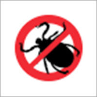 Bed Bugs Control