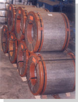 Rectangular Cr & Gi Steel Coils