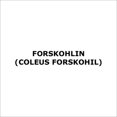 Forskohlin (Coleus Forskohil)