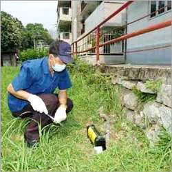 Rodent Control Services By DOCTORS PEST CONTROL