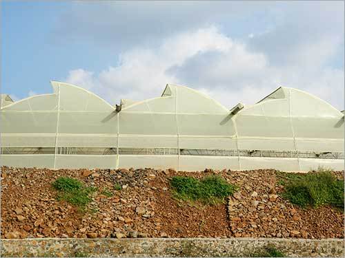 Greenhouse Shed Services