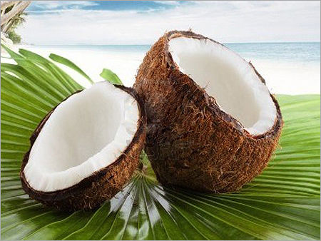 Coconut Seeds