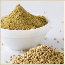 Coriander Powder