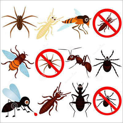 General Pest Control Services