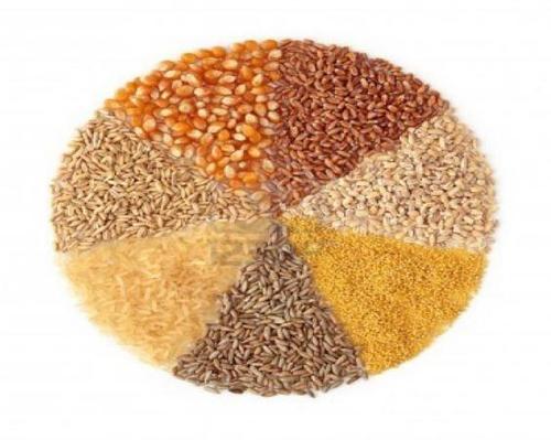 Millets - High-Quality Naturally Grown Whole Grains | Fresh, Nutritious, Rich in Fiber, Perfect for Cooking