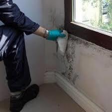 Thermal Insulation Anti Fungal Coating