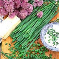 Fresh Chives