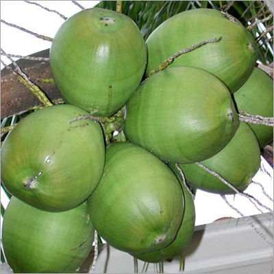 Raw Coconut