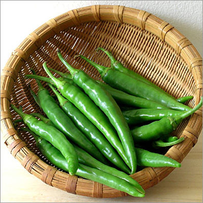 Green Chilli - Fresh Green Chili for Drying, Powdering, Flaking, Bottling, and Pickling | High in Vitamins A and C, Versatile for Sauces and Vegetables