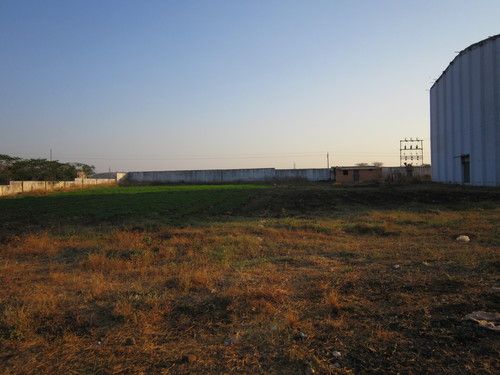 Food Storage Warehouse