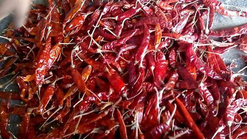 341 chillies