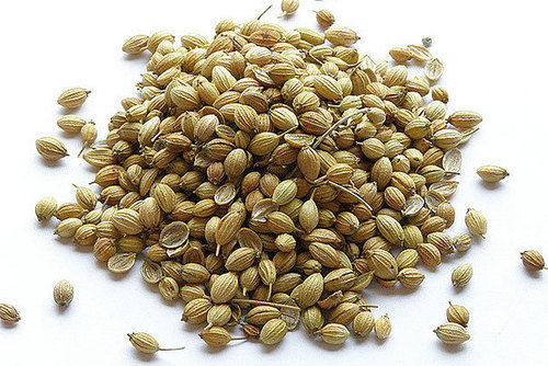 Coriander Seeds