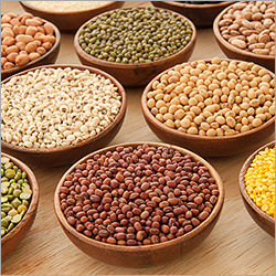 Copper Indian Pulses