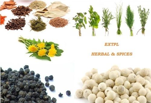 Spices & Herbals