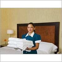 House Keeping Services Age Group: For Adults