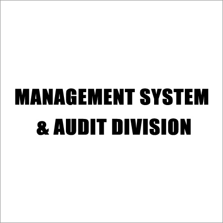 Management System Audit By EL SERVICES