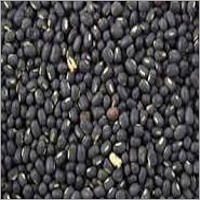 Black Gram (Pulses)