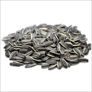 Stainless Steel Sunflower Seeds