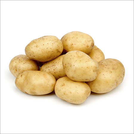 Potato