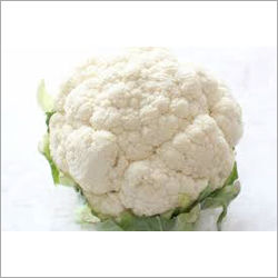 Fresh Cauliflower