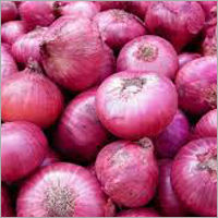 Fresh Red Onion