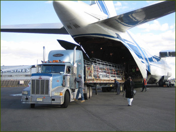 Air Cargo Forwarding Agent By A R LOGISTICS