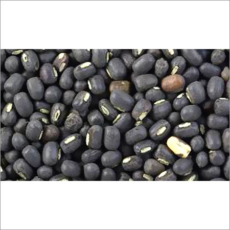 Black Urad Seeds