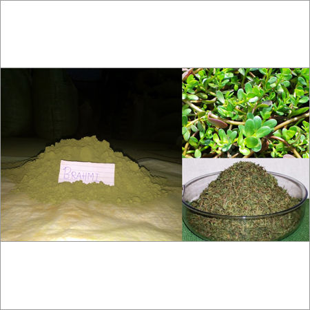 Brahmi Powder