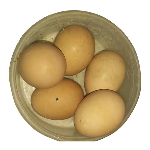 Hen Egg