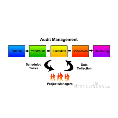 Audit Management Service By VENKATESHWARA ACCOUNTING & TAXATION SERVICES PRIVATE LIMITED