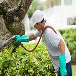 Herbal Pest Control Service By ALL PEST SOLUTION
