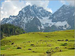 Kashmir Botanical Garden Tour Packages By RAYAN TOUR AND TRAVELS