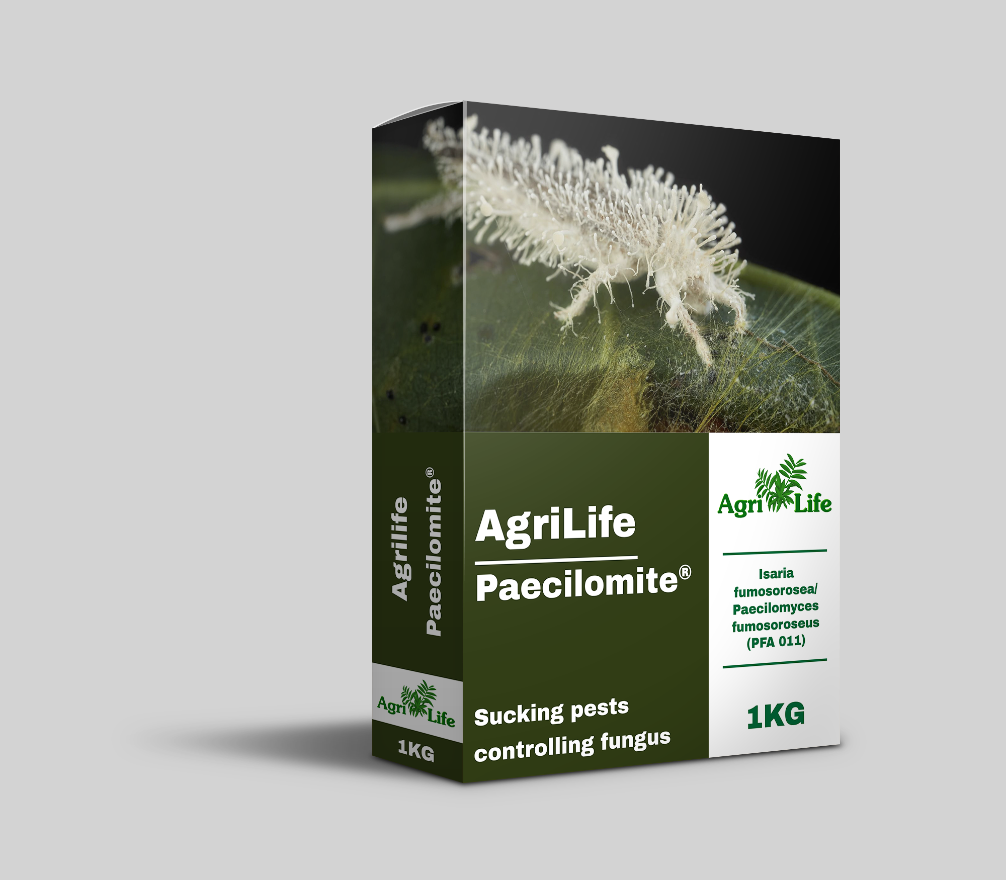 बीटीसी बूम