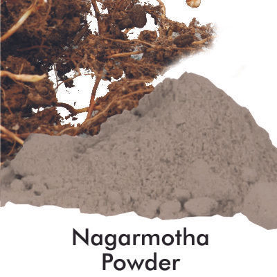 Nagarmotha Powder Ingredients: Herbal Extract