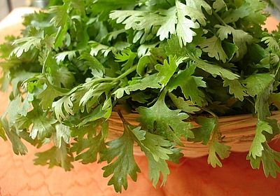 Coriander leaves