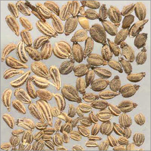 Ajwain Seed