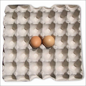 Egg Pulp Tray