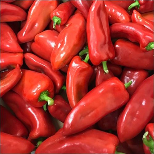 Red Chilli