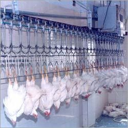 Poultry Dressing or Slaughter Conveyor