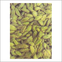 Cardamom (Elaichi)