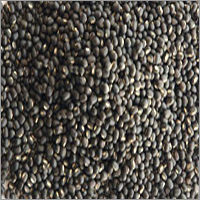 Urad Whole