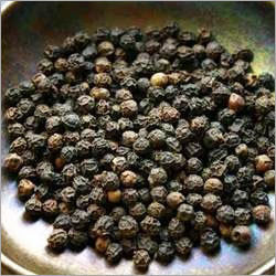 Black Pepper