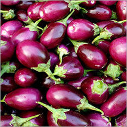 Brinjal Vegetable