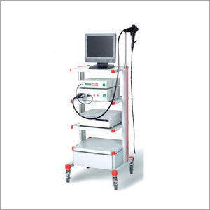 Video Endoscopy System