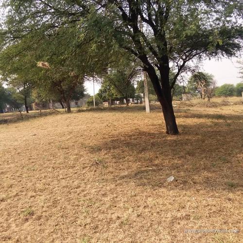 Agricultural Land For Sale In Delhi Road Area, Jaipur