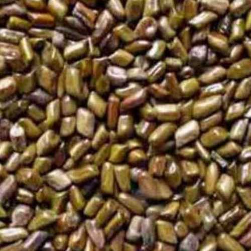 Common Herbal Cassia Tora Seeds