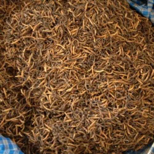 Natural Dried Keedajadi/Yasargumba